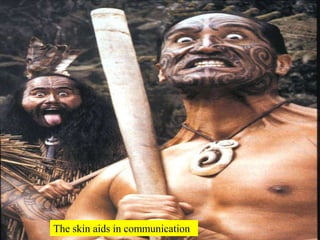 The skin aids in communication<br />