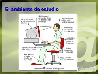 El ambiente de estudio

 