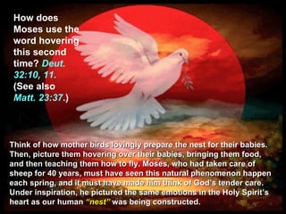How does Moses use the word hovering this second time?  Deut. 32:10, 11.  (See also  Matt. 23:37 .) Think of how mother birds lovingly prepare the nest for their babies. Then, picture them hovering over their babies, bringing them food, and then teaching them how to fly. Moses, who had taken care of sheep for 40 years, must have seen this natural phenomenon happen each spring, and it must have made him think of God’s tender care. Under inspiration, he pictured the same emotions in the Holy Spirit’s heart as our human  “nest”  was being constructed. 