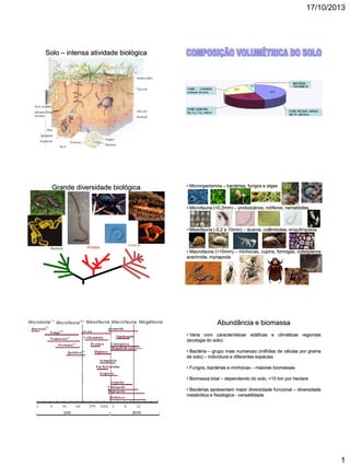 17/10/2013

Solo – intensa atividade biológica

Grande diversidade biológica

• Microrganismos – bactérias, fungos e algas

• Microfauna (<0,2mm) – protozoários, rotíferos, nematóides

• Mesofauna (-0,2 a 10mm) – ácaros, colêmbolas, enquitríqueos

Bacteria

Archaea

Eukarya

• Macrofauna (>10mm) – minhocas, cupins, formigas, coleópteros
arachnida, myriapoda

Abundância e biomassa
• Varia com características edáficas e climáticas regionais
(ecologia do solo)
• Bactéria – grupo mais numeroso (milhões de células por grama
de solo) – indivíduos e diferentes espécies
• Fungos, bactérias e minhocas – maiores biomassas
• Biomassa total – dependendo do solo, >10 ton por hectare
• Bactérias apresentam maior diversidade funcional – diversidade
metabólica e fisiológica - versatilidade

1

 