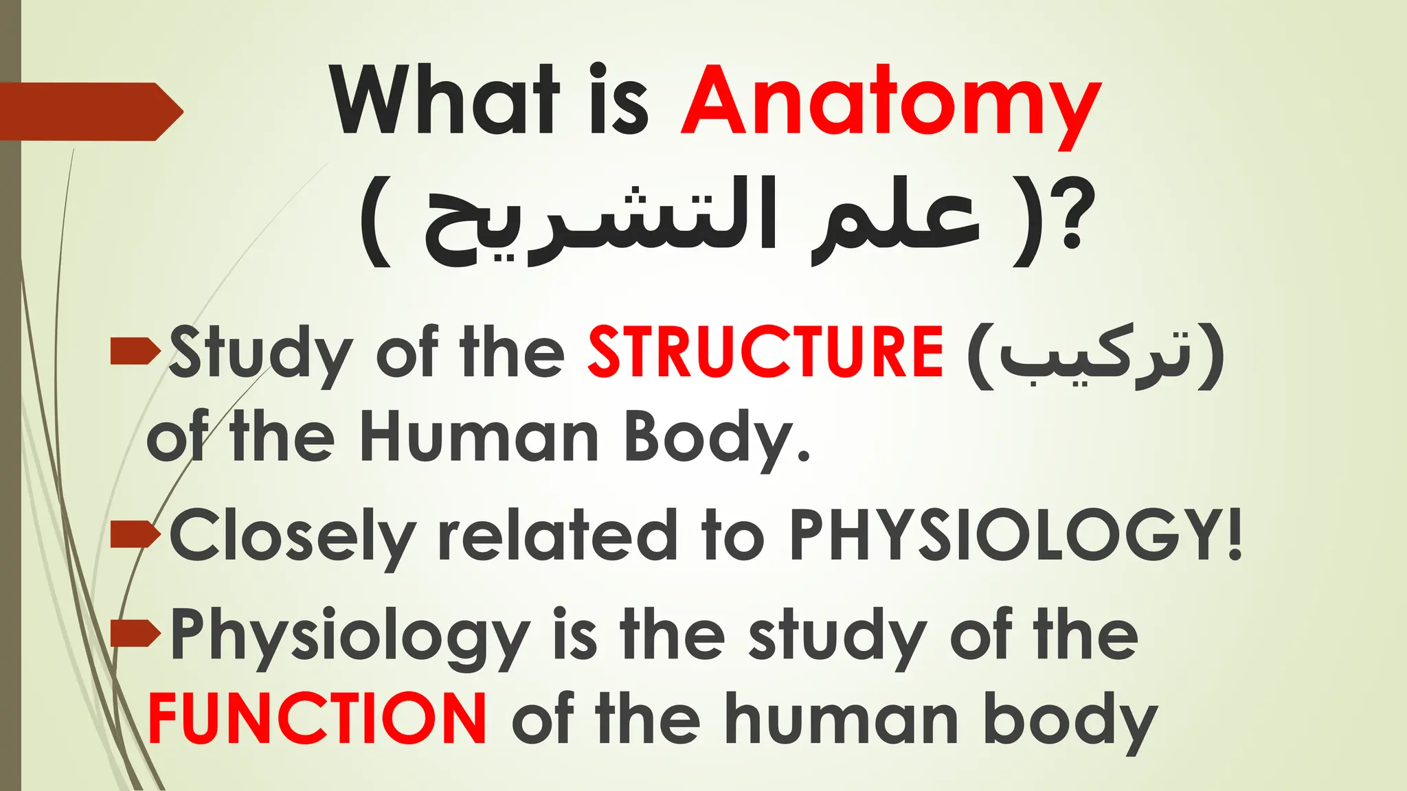 02 introduction to anatomy of the human body | PDF