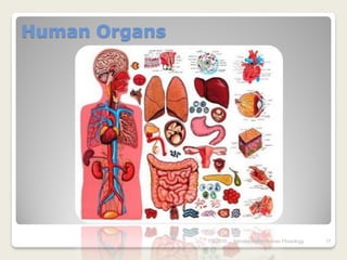 Human Organs




               7/3/2010   Introduction to Human Phisiology   17
 