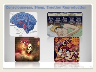 Consciousness, Sleep, Emotion Reproduction




                          7/3/2010   Introduction to Human Phisiology   32
 