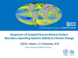 Responses of Coupled Human-Natural Eastern
Boundary Upwelling Systems (EBUS) to Climate Change
COP25 Madrid 2-13 December, 2019
Javier Arístegui & William Cheung
 