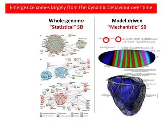 Whole-genome
“Statistical” SB
Model-driven
“Mechanistic” SB
Emergence comes largely from the dynamic behaviour over time
 