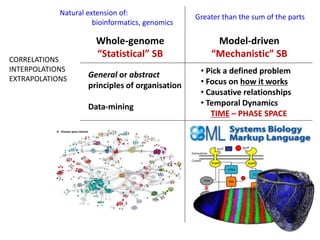 Whole-genome
“Statistical” SB
Model-driven
“Mechanistic” SB
• Pick a defined problem
• Focus on how it works
• Causative relationships
• Temporal Dynamics
TIME – PHASE SPACE
General or abstract
principles of organisation
Data-mining
Natural extension of:
bioinformatics, genomics
CORRELATIONS
INTERPOLATIONS
EXTRAPOLATIONS
Greater than the sum of the parts
 