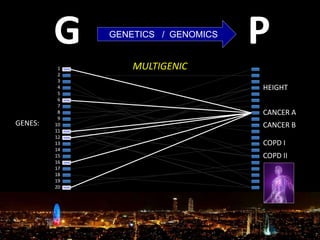 GENES:
1
2
3
4
5
6
7
8
9
10
11
12
13
14
15
16
17
18
19
20
G PGENETICS / GENOMICS
MULTIGENIC
HEIGHT
CANCER A
COPD II
CANCER B
COPD I
 
