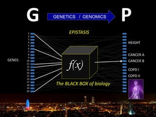 GENES:
1
2
3
4
5
6
7
8
9
10
11
12
13
14
15
16
17
18
19
20
G PGENETICS / GENOMICS
f(x)
EPISTASIS
The BLACK BOX of biology
HEIGHT
CANCER A
COPD II
CANCER B
COPD I
 