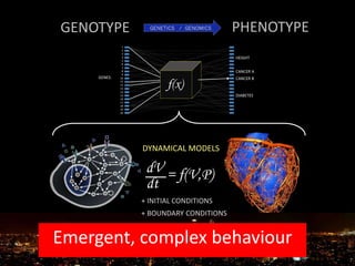 GENOTYPE PHENOTYPE
dV
dt
= f(V,P)
+ INITIAL CONDITIONS
+ BOUNDARY CONDITIONS
DYNAMICAL MODELS
Emergent, complex behaviour
 