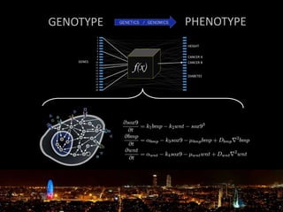 GENOTYPE PHENOTYPE
 