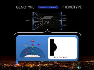 GENOTYPE PHENOTYPE
 