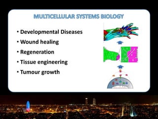 • Developmental Diseases
• Wound healing
• Regeneration
• Tissue engineering
• Tumour growth
 
