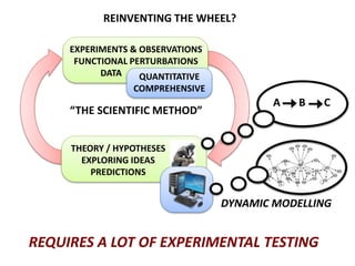 EXPERIMENTS & OBSERVATIONS
FUNCTIONAL PERTURBATIONS
DATA
THEORY / HYPOTHESES
EXPLORING IDEAS
PREDICTIONS
“THE SCIENTIFIC METHOD”
QUANTITATIVE
COMPREHENSIVE
REINVENTING THE WHEEL?
A B C
REQUIRES A LOT OF EXPERIMENTAL TESTING
DYNAMIC MODELLING
 