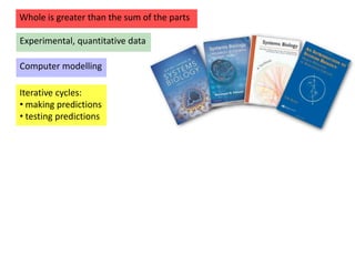 Whole is greater than the sum of the parts
Iterative cycles:
• making predictions
• testing predictions
Experimental, quantitative data
Computer modelling
 