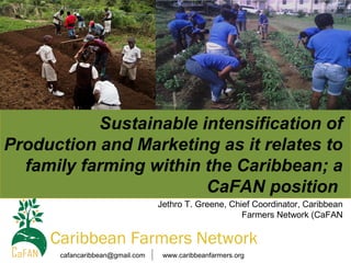 Sustainable intensification of
Production and Marketing as it relates to
family farming within the Caribbean; a
CaFAN position
Jethro T. Greene, Chief Coordinator, Caribbean
Farmers Network (CaFAN

Caribbean Farmers Network
cafancaribbean@gmail.com

www.caribbeanfarmers.org

 
