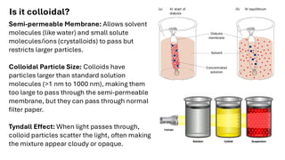 Comprehensive Overview of Colloidal Systems in Food Science: Emulsions ...