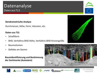 Kick-off Meeting
8-9/jan/2014
Dendrometrische Analyse
Durchmesser, Höhe, Form, Volumen, etc.
Daten aus TLS
• Schaftform
• BHD, Verhältnis BHD-Höhe, Verhältnis BHD-Kronengröße
• Baumvolumen
• Defekte am Stamm
Datenanalyse
Daten ausTLS
Baumidentifizierung und Bestimmung
der Sortimente (Autostem)
 
