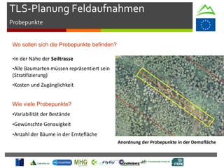 TLS-Planung Feldaufnahmen
Probepunkte
Wo sollen sich die Probepunkte befinden?
•In der Nähe der Seiltrasse
•Alle Baumarten müssen repräsentiert sein
(Stratifizierung)
•Kosten und Zugänglichkeit
•Variabilität der Bestände
•Gewünschte Genauigkeit
•Anzahl der Bäume in der Erntefläche
Wie viele Probepunkte?
Anordnung der Probepunkte in der Demofläche
 