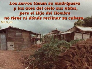 Los zorros tienen su madriguera y las aves del cielo sus nidos, pero el Hijo del Hombre no tiene ni dónde reclinar su cabeza. Mt 8,20