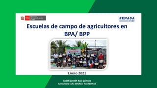 Escuelas de campo de agricultores en
BPA/ BPP
Enero 2021
Judith Janeth Ruiz Zamora
Consultora ECAs SENASA- AMAZONAS
 