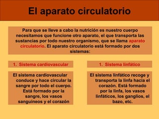 El aparato circulatorio 
Para que se lleve a cabo la nutrición es nuestro cuerpo 
necesitamos que funcione otro aparato, el que transporta las 
sustancias por todo nuestro organismo, que se llama aparato 
circulatorio. El aparato circulatorio está formado por dos 
sistemas: 
1. Sistema cardiovascular 1. Sistema linfático 
El sistema cardiovascular 
conduce y hace circular la 
sangre por todo el cuerpo. 
Está formado por la 
sangre, los vasos 
sanguíneos y el corazón 
El sistema linfático recoge y 
transporta la linfa hacia el 
corazón. Está formado 
por la linfa, los vasos 
linfáticos, los ganglios, el 
bazo, etc. 
 
