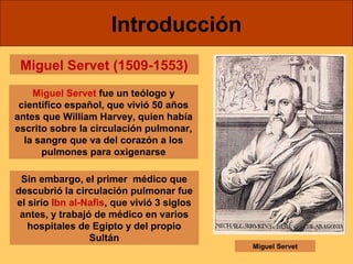 Introducción 
Miguel Servet (1509-1553) 
Miguel Servet fue un teólogo y 
científico español, que vivió 50 años 
antes que William Harvey, quien había 
escrito sobre la circulación pulmonar, 
la sangre que va del corazón a los 
pulmones para oxigenarse 
Sin embargo, el primer médico que 
descubrió la circulación pulmonar fue 
el sirio Ibn al-Nafis, que vivió 3 siglos 
antes, y trabajó de médico en varios 
hospitales de Egipto y del propio 
Sultán 
Miguel Servet 
 
