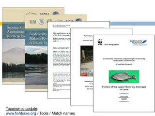Fish Biodiversity and Fisheries between Chiang Saen and Luang Prabang ...