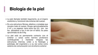 Biología de la piel
➢ La piel, llamada también tegumento, es el órgano
anatómico y funcional más extenso del cuerpo.
➢ Es una estructura fibrosa, elástica y compleja que
recubre todo el cuerpo. Ocupa aproximadamente
2 m², y su espesor varía entre los 0,5 mm (en
los párpados) a los 4 mm (en el talón). Su peso
aproximado es de 5 Kg.
➢ La piel está en permanente contacto con el
exterior y actúa como barrera protectora
contribuyendo a mantener íntegras las
estructuras internas, unido a la fisiología y
patología, del organismo y a su vez actúa como
sistema de comunicación con el entorno exterior
 