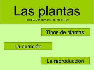 Las plantas Tema 2. Conocimiento del Medio (5º) Tipos de plantas  La nutrición La reproducción 