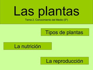 Las plantasTema 2. Conocimiento del Medio (5º)
Tipos de plantas
La nutrición
La reproducción
 