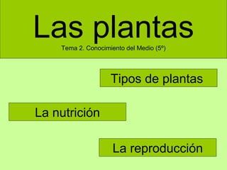 Las plantas
Tema 2. Conocimiento del Medio (5º)

Tipos de plantas
La nutrición
La reproducción

 