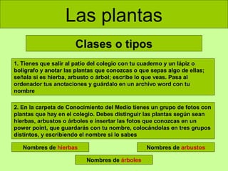 Las plantas
Clases o tipos
1. Tienes que salir al patio del colegio con tu cuaderno y un lápiz o
bolígrafo y anotar las plantas que conozcas o que sepas algo de ellas;
señala si es hierba, arbusto o árbol; escribe lo que veas. Pasa al
ordenador tus anotaciones y guárdalo en un archivo word con tu
nombre
2. En la carpeta de Conocimiento del Medio tienes un grupo de fotos con
plantas que hay en el colegio. Debes distinguir las plantas según sean
hierbas, arbustos o árboles e insertar las fotos que conozcas en un
power point, que guardarás con tu nombre, colocándolas en tres grupos
distintos, y escribiendo el nombre si lo sabes
Nombres de hierbas

Nombres de arbustos
Nombres de árboles

 