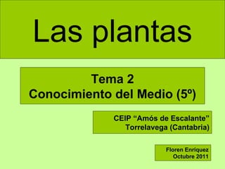 Las plantas
Tema 2
Conocimiento del Medio (5º)
CEIP “Amós de Escalante”
Torrelavega (Cantabria)
Floren Enríquez
Octubre 2011

 