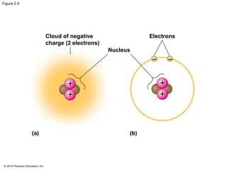 © 2014 Pearson Education, Inc.
Figure 2.4
(b)
+
++
+
(a)
Electrons
--
Nucleus
Cloud of negative
charge (2 electrons)
 