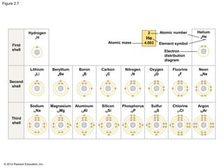 © 2014 Pearson Education, Inc.
Figure 2.7
Atomic mass
Atomic number
Element symbol
Electron
distribution
diagram
2
4.003
He
Helium
2He
Neon
10Ne
Fluorine
9F
Oxygen
8O
Nitrogen
7N
Carbon
6C
Boron
5B
Beryllium
4Be
Lithium
3Li
Second
shell
First
shell
Hydrogen
1H
Argon
18Ar
Chlorine
17Cl
Sulfur
16S
Phosphorus
15P
Silicon
14Si
Aluminum
13Al
Magnesium
12Mg
Sodium
11Na
Third
shell
 