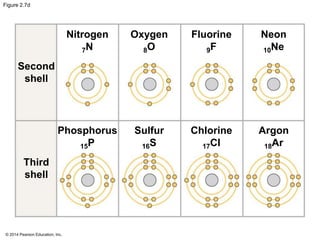 © 2014 Pearson Education, Inc.
Figure 2.7d
Fluorine
9F
Neon
10Ne
Oxygen
8O
Nitrogen
7N
Second
shell
Third
shell
Chlorine
17Cl
Argon
18Ar
Sulfur
16S
Phosphorus
15P
 