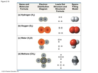 © 2014 Pearson Education, Inc.
Figure 2.10
Name and
Molecular
Formula
Electron
Distribution
Diagram
Lewis Dot
Structure and
Structural
Formula
Space-
Filling
Model
(d) Methane (CH4)
(c) Water (H2O)
(b) Oxygen (O2)
(a) Hydrogen (H2)
H H
O O
O H
H
C H
H
H
H
 
