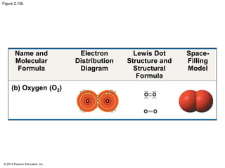 © 2014 Pearson Education, Inc.
Figure 2.10b
Name and
Molecular
Formula
Electron
Distribution
Diagram
Lewis Dot
Structure and
Structural
Formula
Space-
Filling
Model
(b) Oxygen (O2)
O O
 