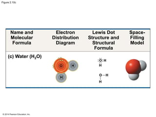 © 2014 Pearson Education, Inc.
Figure 2.10c
Name and
Molecular
Formula
Electron
Distribution
Diagram
Lewis Dot
Structure and
Structural
Formula
Space-
Filling
Model
(c) Water (H2O)
O H
H
 