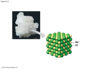 © 2014 Pearson Education, Inc.
Figure 2.13
Na+
Cl-
 