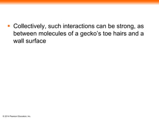 © 2014 Pearson Education, Inc.
 Collectively, such interactions can be strong, as
between molecules of a gecko’s toe hairs and a
wall surface
 