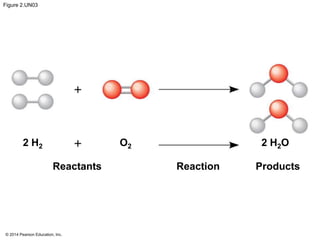 © 2014 Pearson Education, Inc.
Figure 2.UN03
Reactants Reaction Products
2 H2 O2 2 H2O
 