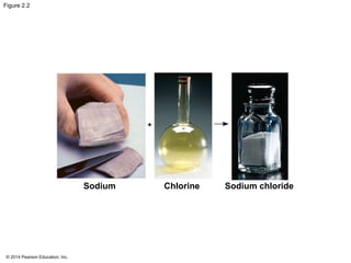 © 2014 Pearson Education, Inc.
Figure 2.2
Sodium Chlorine Sodium chloride
 