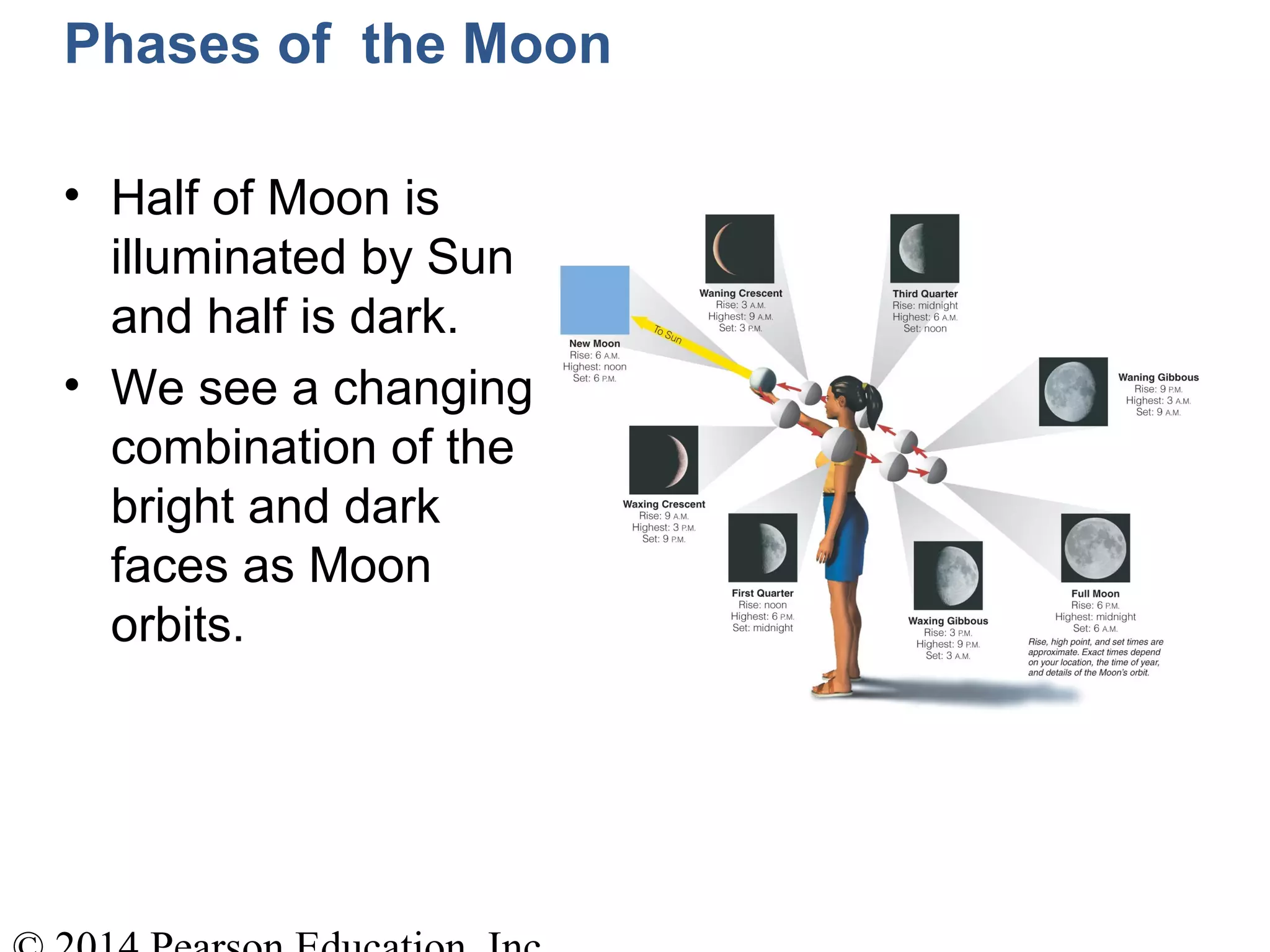Phases of the Moon
• Half of Moon is
illuminated by Sun
and half is dark.
• We see a changing
combination of the
bright and dark
faces as Moon
orbits.
 