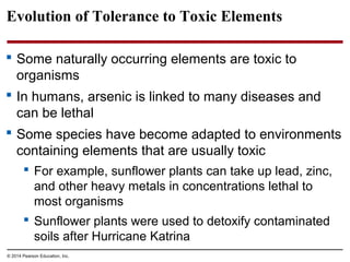 Evolution of Tolerance to Toxic Elements
 Some naturally occurring elements are toxic to
organisms
 In humans, arsenic i...