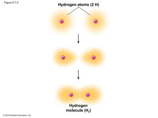 © 2014 Pearson Education, Inc.
Figure 2.7-3
Hydrogen
molecule (H2)
Hydrogen atoms (2 H)
 