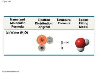 © 2014 Pearson Education, Inc.
Figure 2.8c
Name and
Molecular
Formula
Electron
Distribution
Diagram
Structural
Formula
Spa...