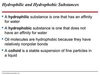 Hydrophilic and Hydrophobic Substances
 A hydrophilic substance is one that has an affinity
for water
 A hydrophobic sub...