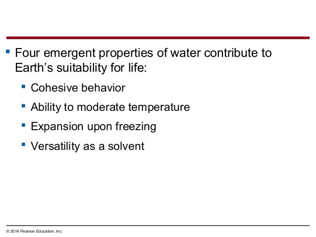 Biology In Focus Chapter 2