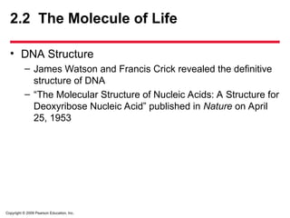 Copyright © 2009 Pearson Education, Inc.
2.2 The Molecule of Life
• DNA Structure
– James Watson and Francis Crick revealed the definitive
structure of DNA
– “The Molecular Structure of Nucleic Acids: A Structure for
Deoxyribose Nucleic Acid” published in Nature on April
25, 1953
 